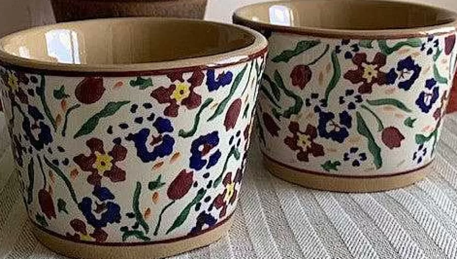 Oven Friendly Dishes<Nicholas Mosse 2 Custard Cups Wild Flower Meadow