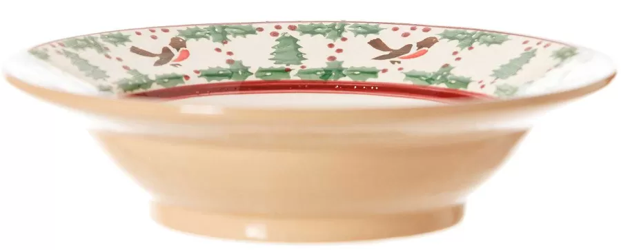 Winter Robin<Nicholas Mosse Pasta Bowl Winter Robin