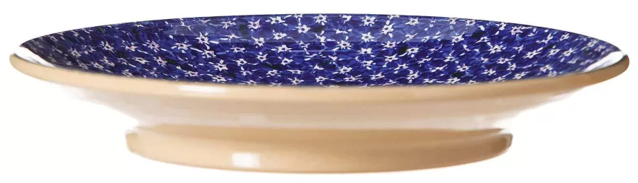 Serving<Nicholas Mosse Shallow Dish Lawn Dark Blue