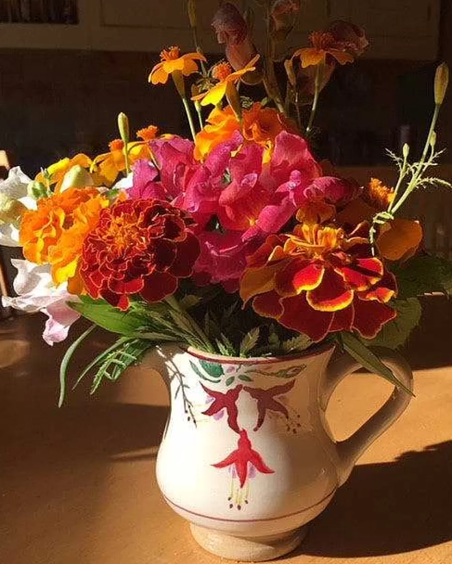 Fuchsia<Nicholas Mosse Small Jug Fuchsia